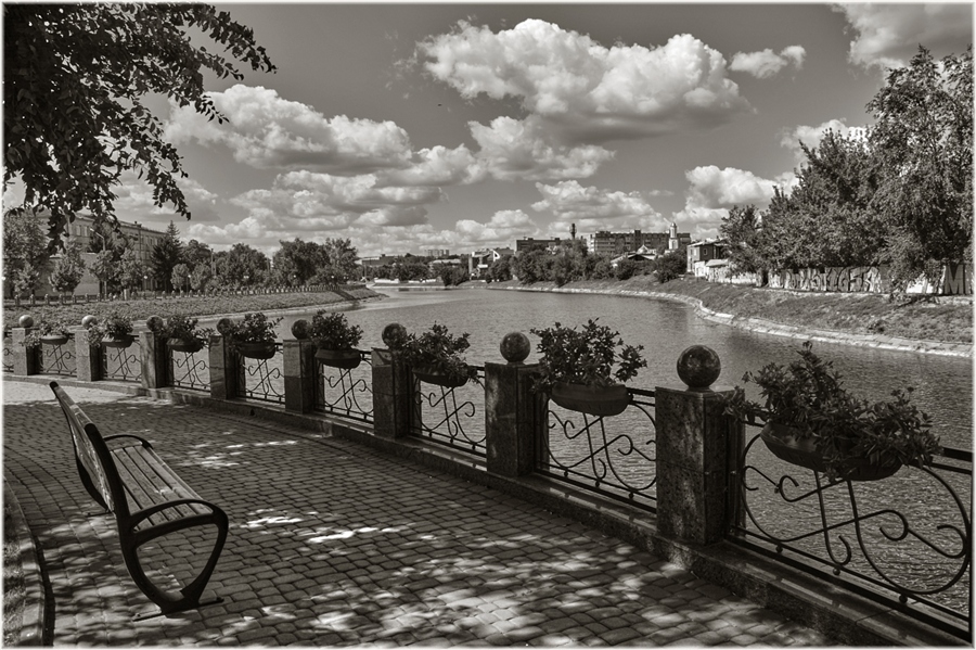 Фото жизнь