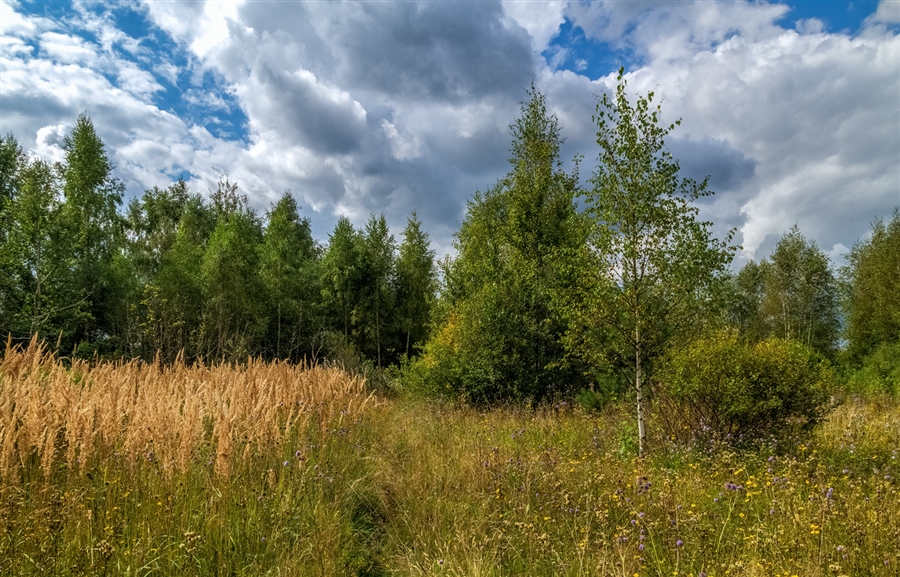 Фото жизнь