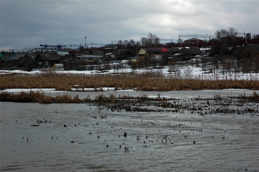 Фото жизнь