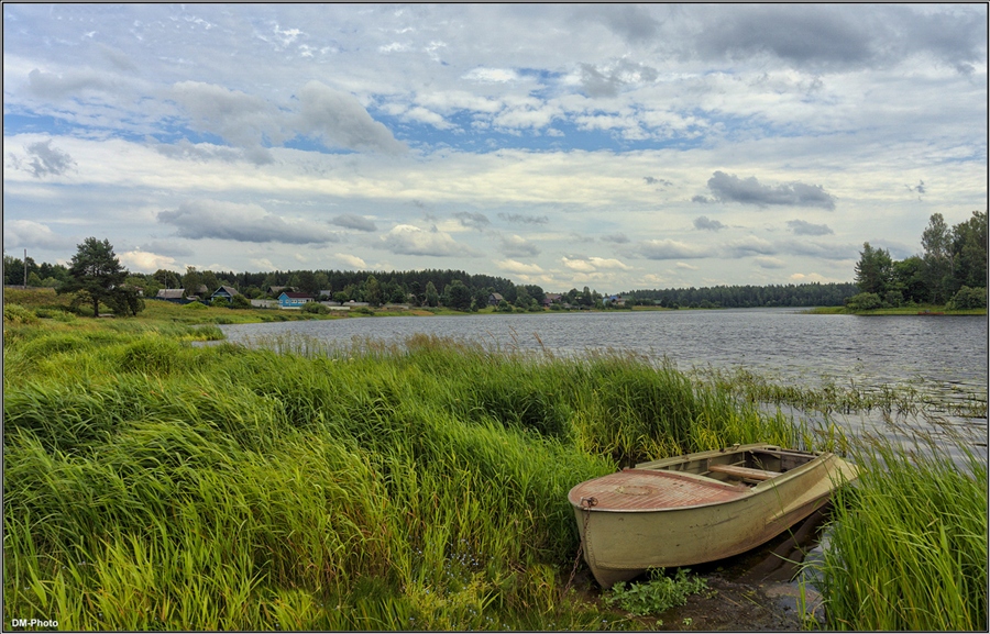 Фото жизнь