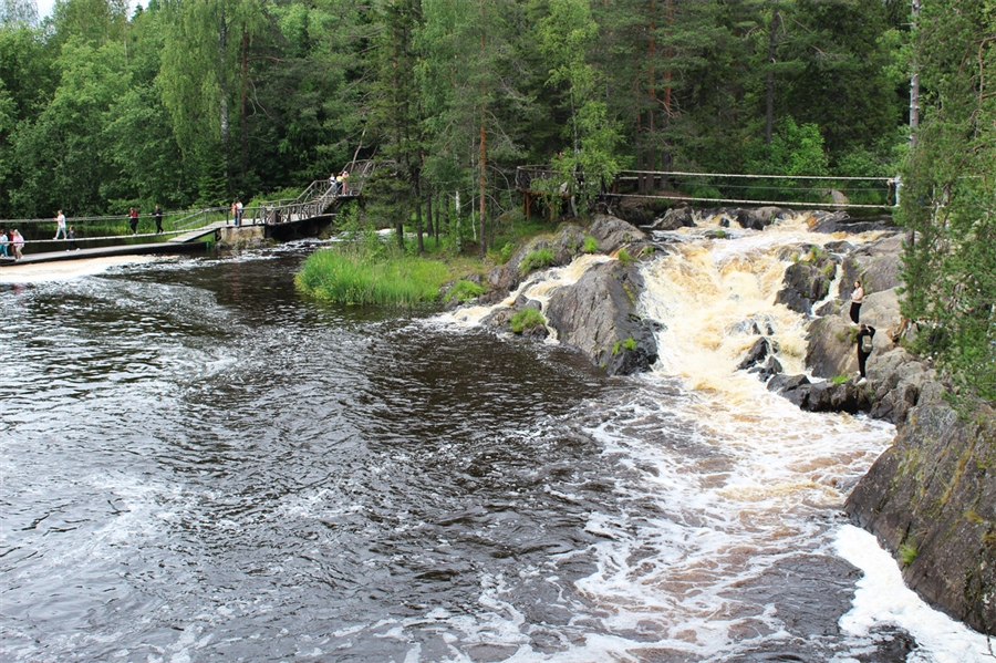 Фото жизнь