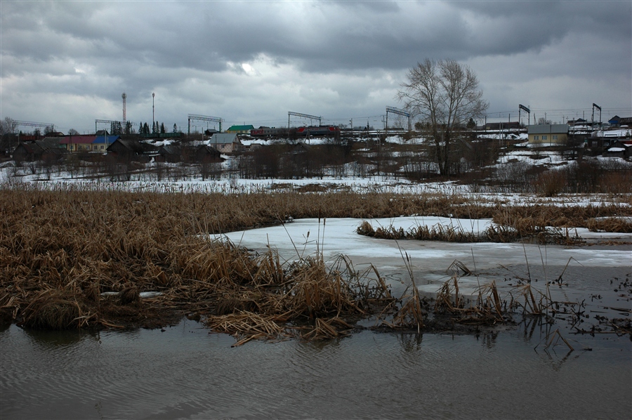 Фото жизнь