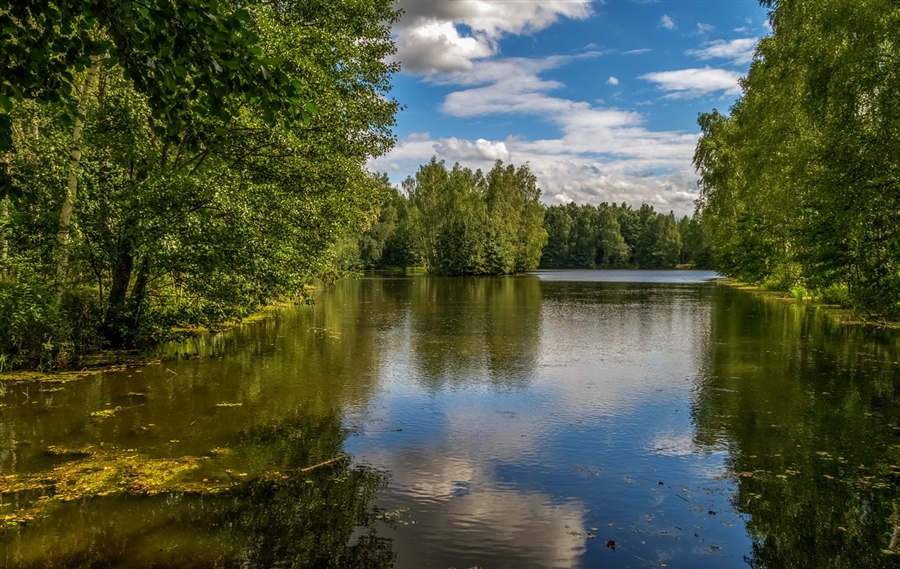 Фото жизнь