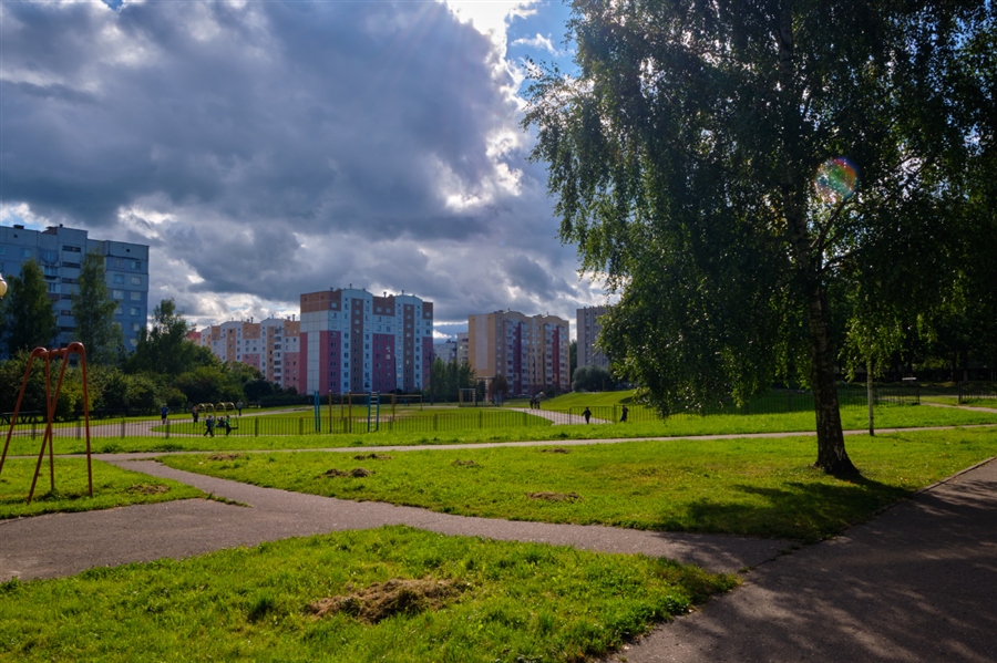 Фото жизнь