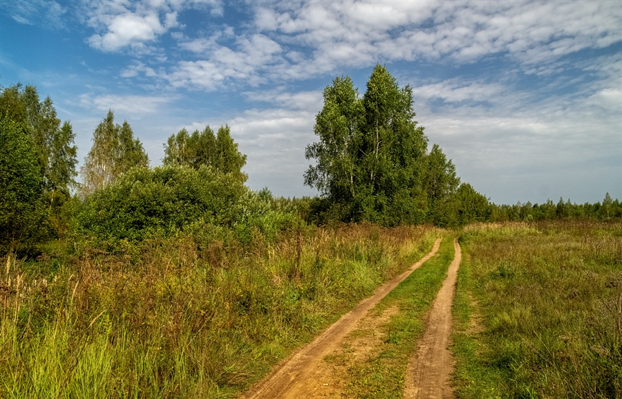 Фото жизнь