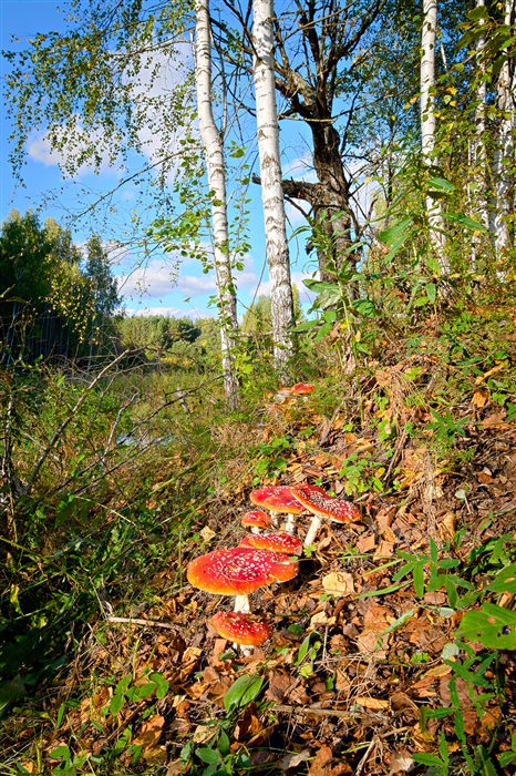 Фото жизнь