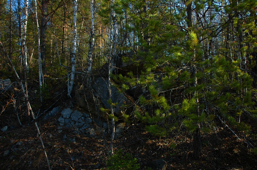 Фото жизнь