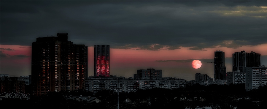 Фото жизнь