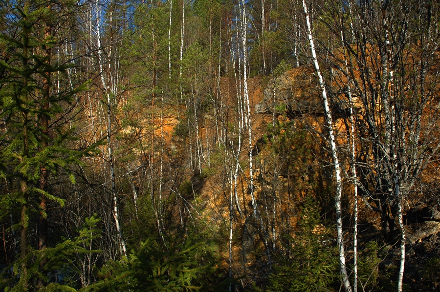 Фото жизнь