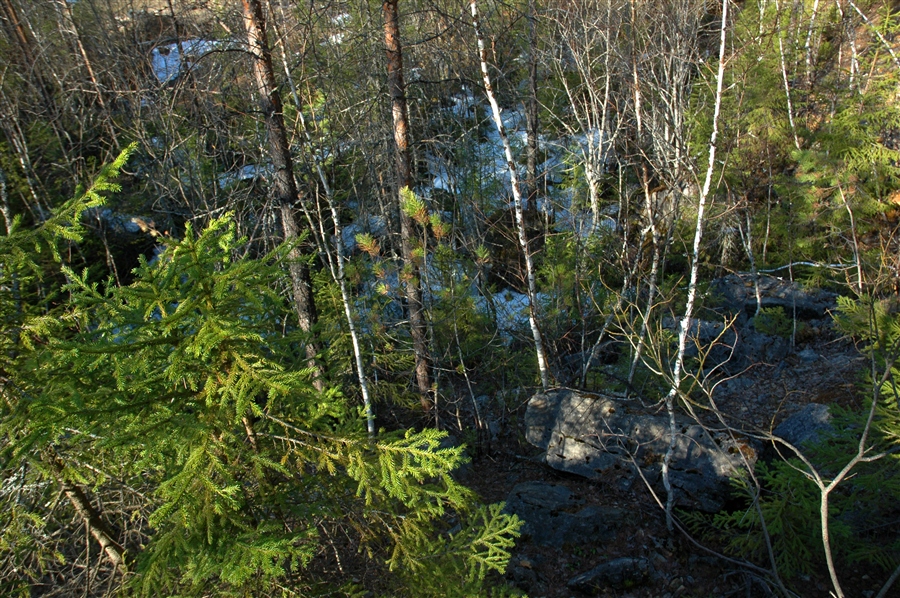 Фото жизнь
