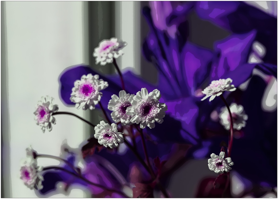 Фантазия на тему цветочков.