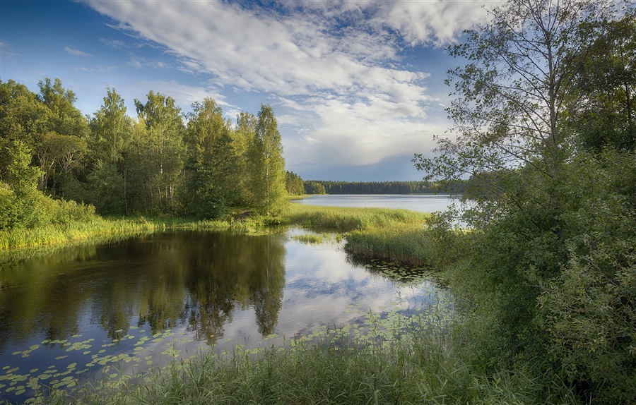 Фото жизнь