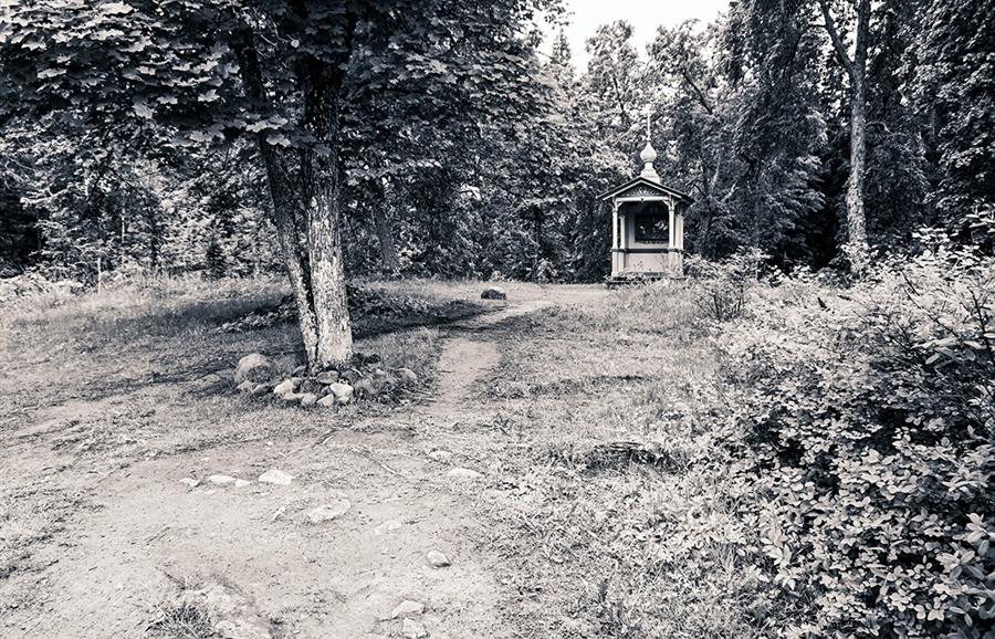 Фото жизнь
