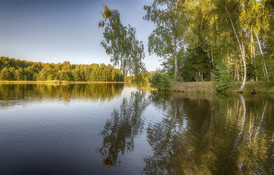 Фото жизнь