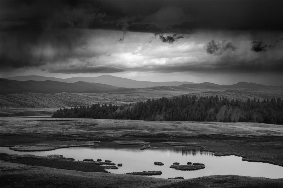 Фото жизнь