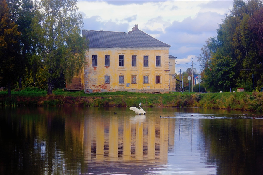 Фото жизнь