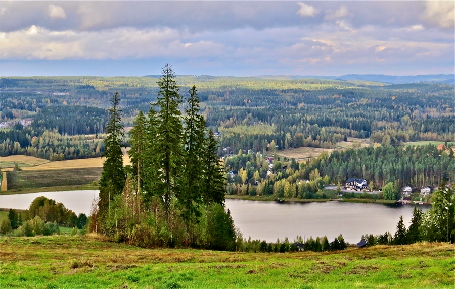 Фото жизнь