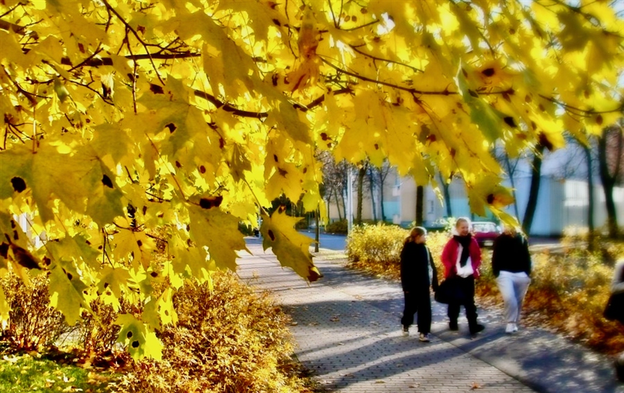 Фото жизнь