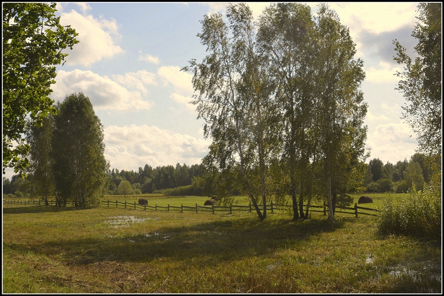 Фото жизнь