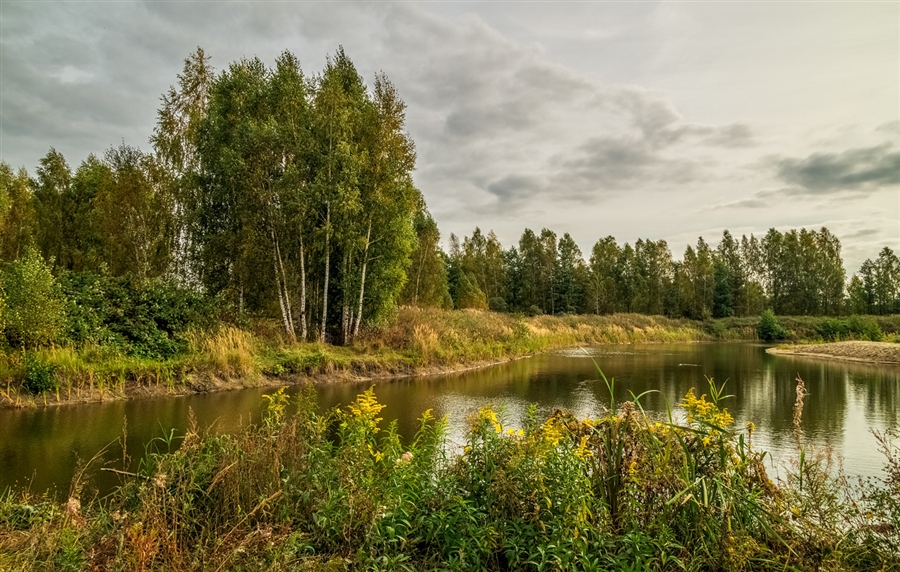 Фото жизнь