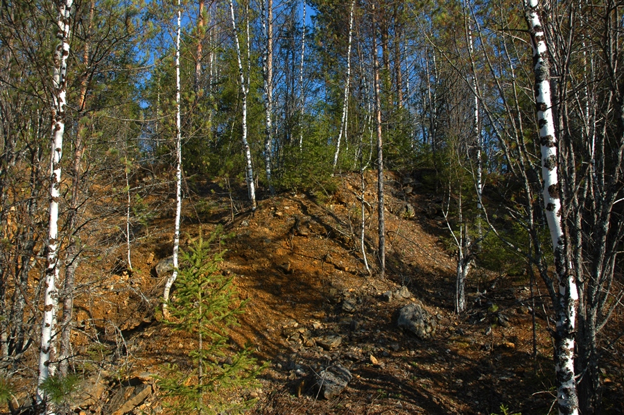 Фото жизнь