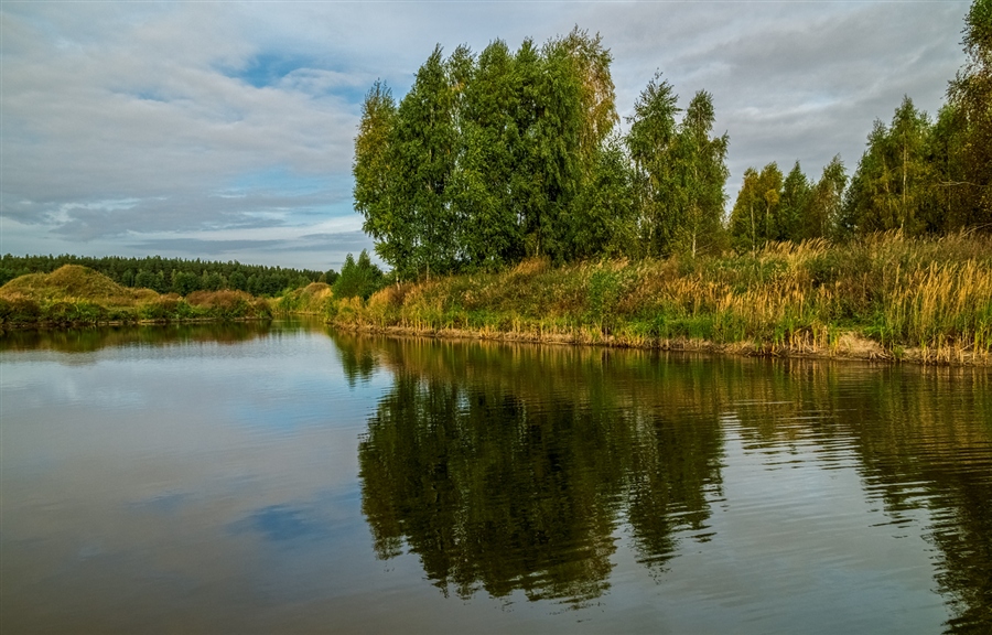 Фото жизнь