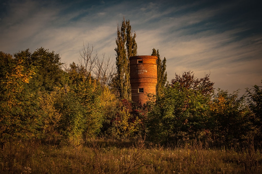 Фото жизнь