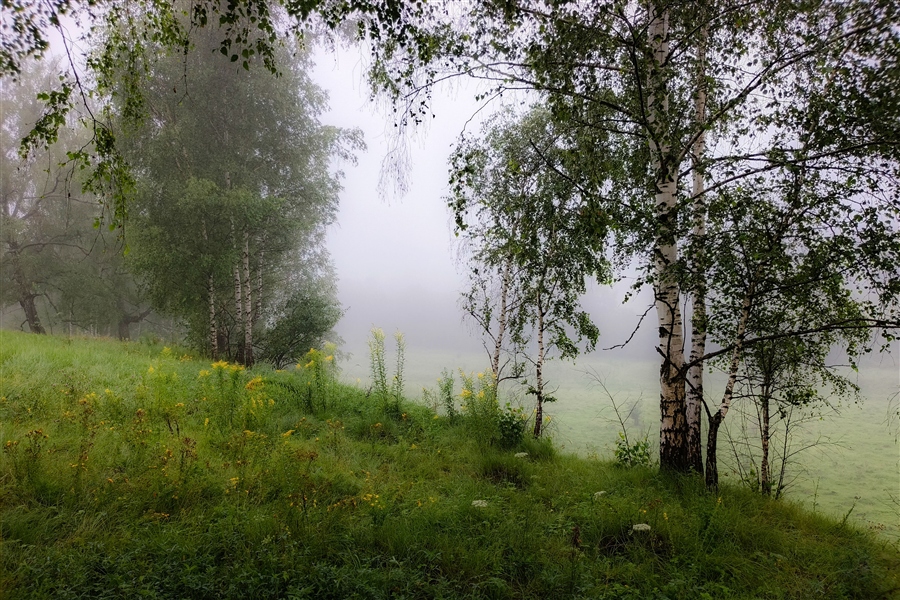 Фото жизнь