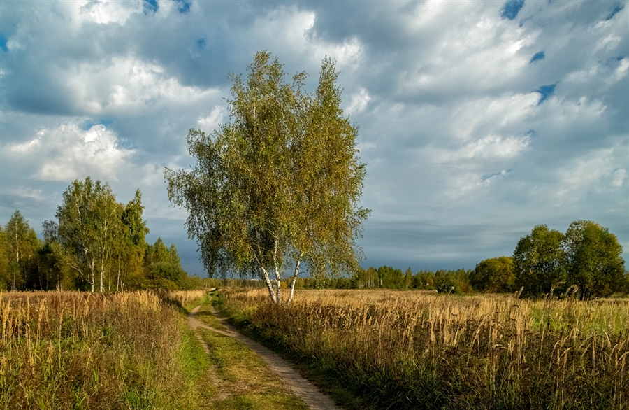 Фото жизнь
