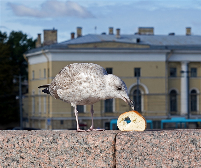Фото жизнь