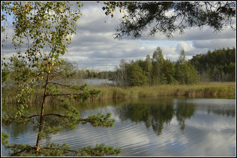 Фото жизнь