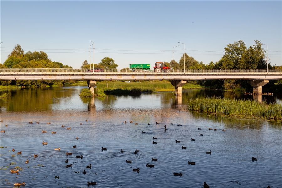 Фото жизнь