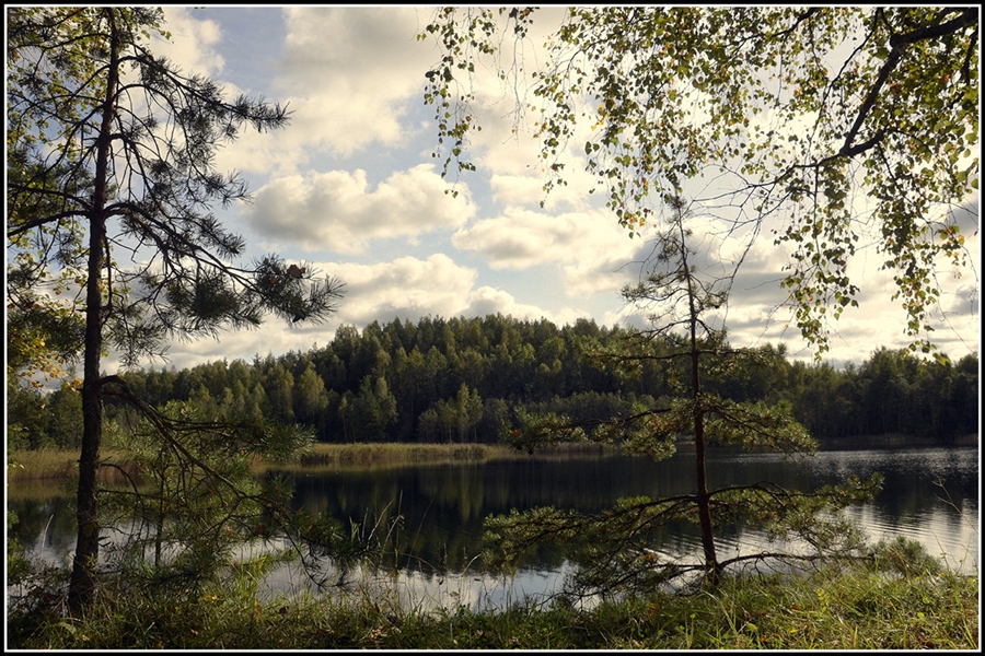 Фото жизнь