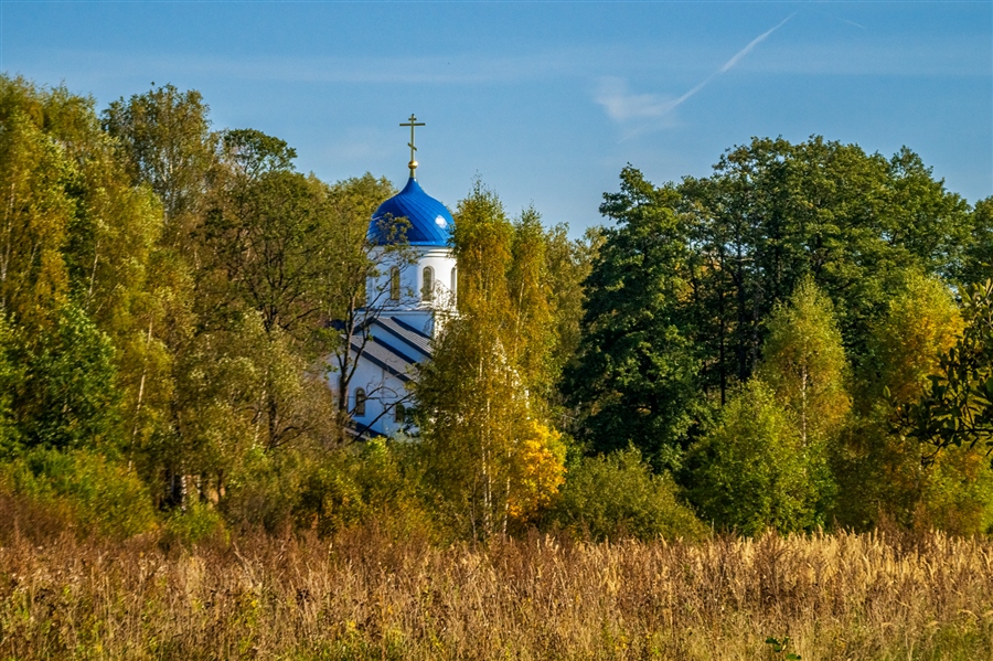 Фото жизнь