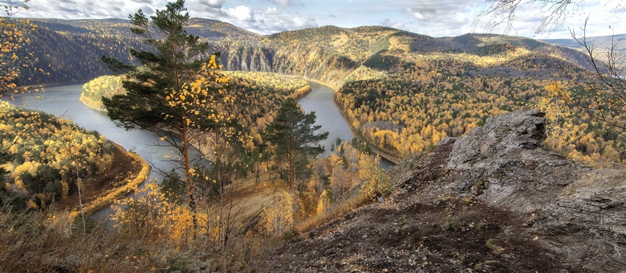 Фото жизнь