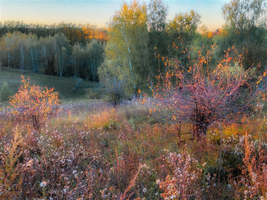 Фото жизнь