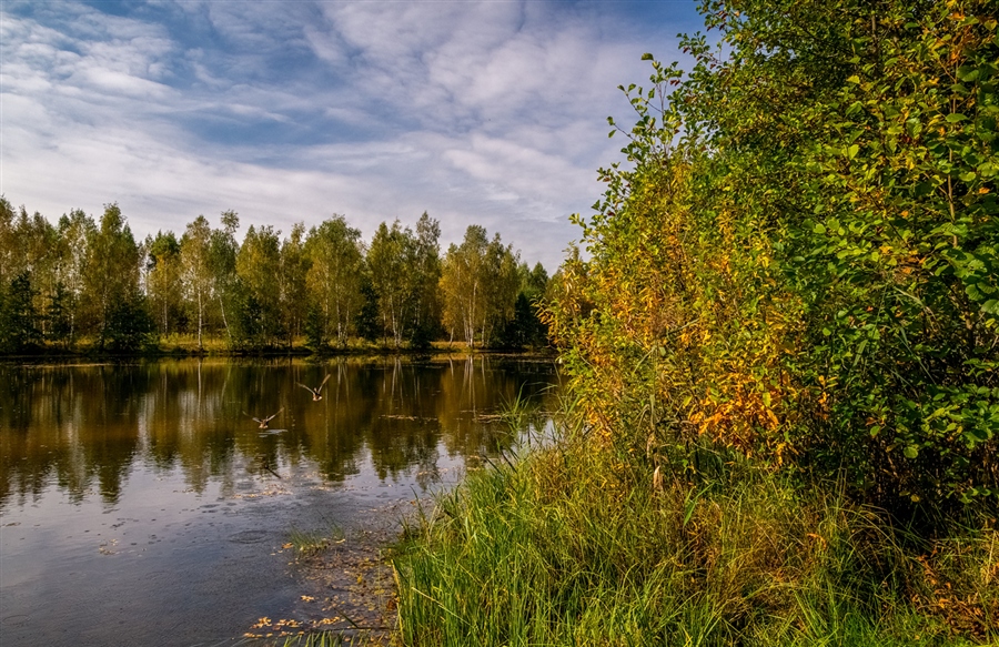 Фото жизнь