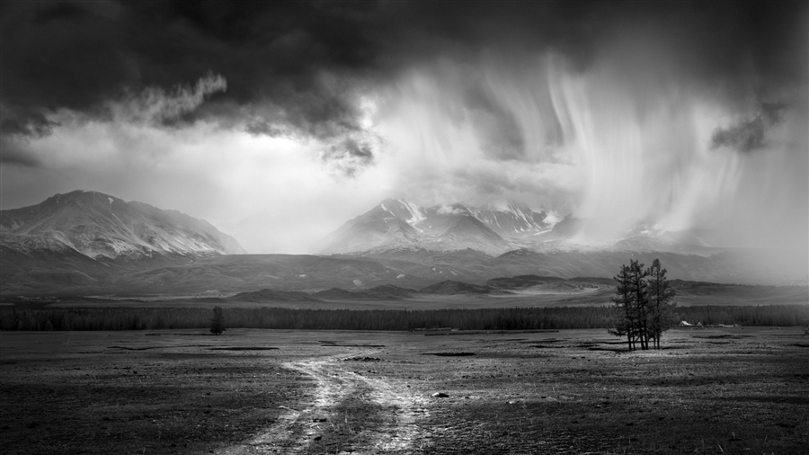 Фото жизнь