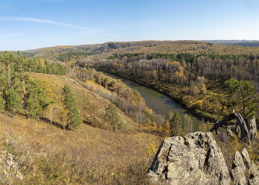 Фото жизнь