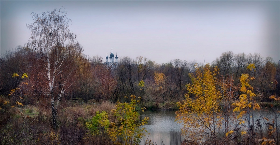 Фото жизнь