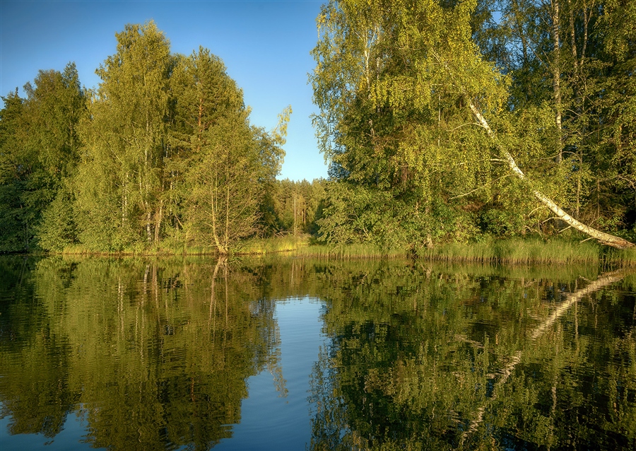 Фото жизнь