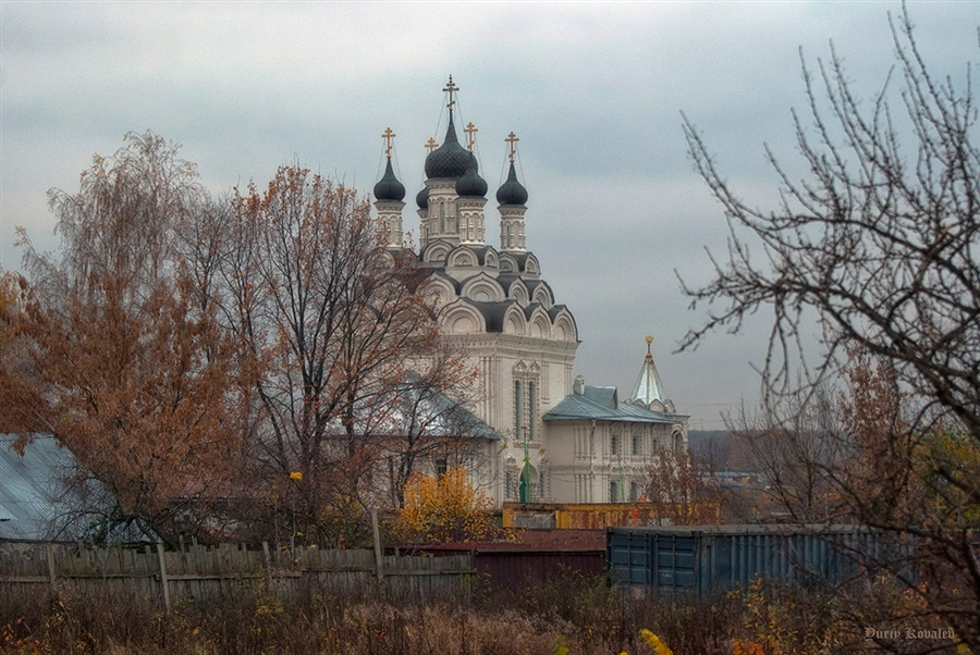 Фото жизнь