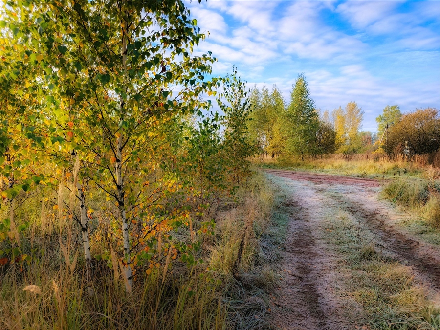 Фото жизнь