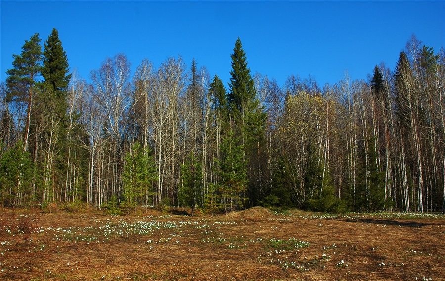 Фото жизнь