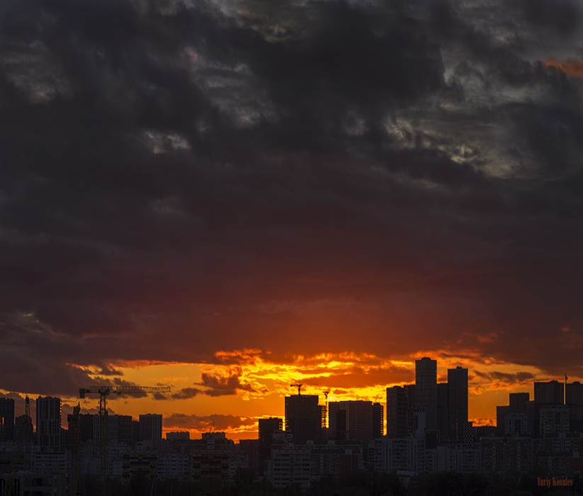 Фото жизнь