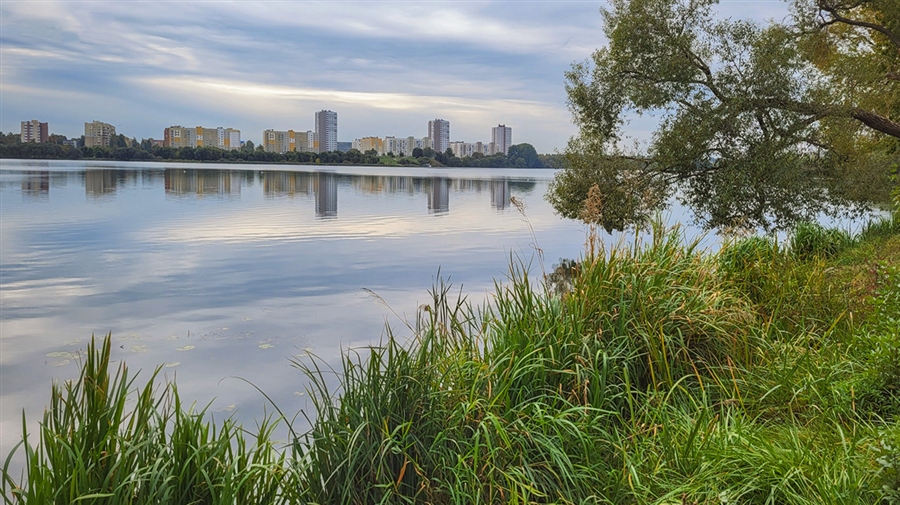 Фото жизнь