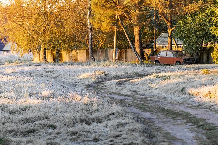 Фото жизнь