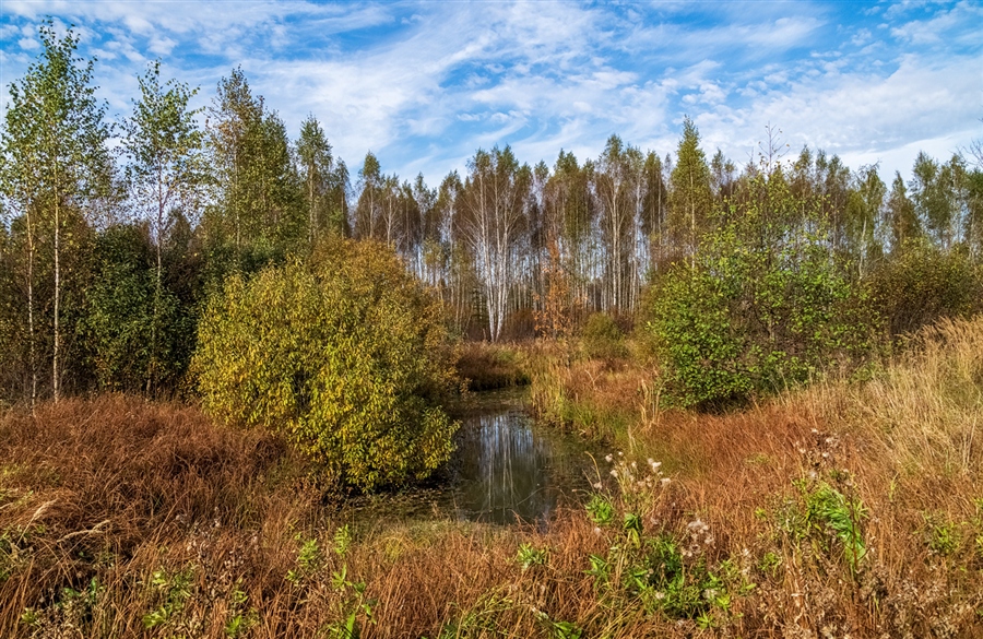 Фото жизнь