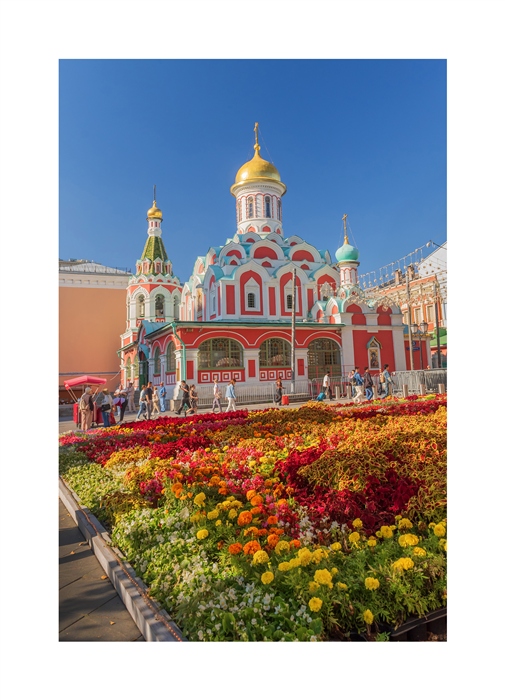 Фото жизнь