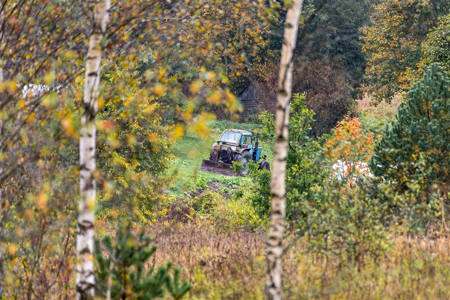 Фото жизнь